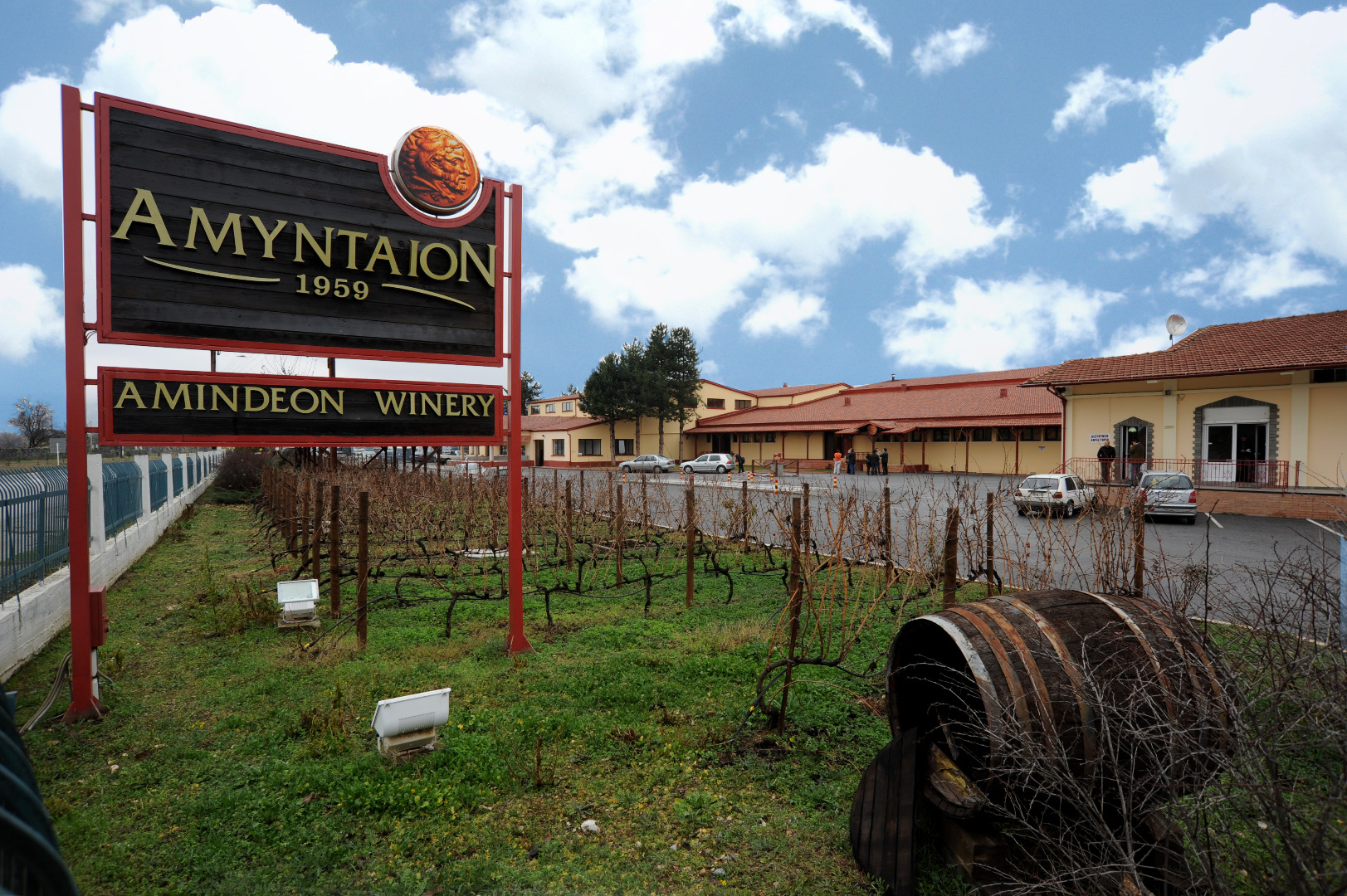 Amyntaio wijn - Florina.jpg