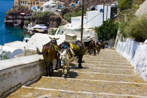 Poseidon - Mykonos, Naxos, Paros en Santorini