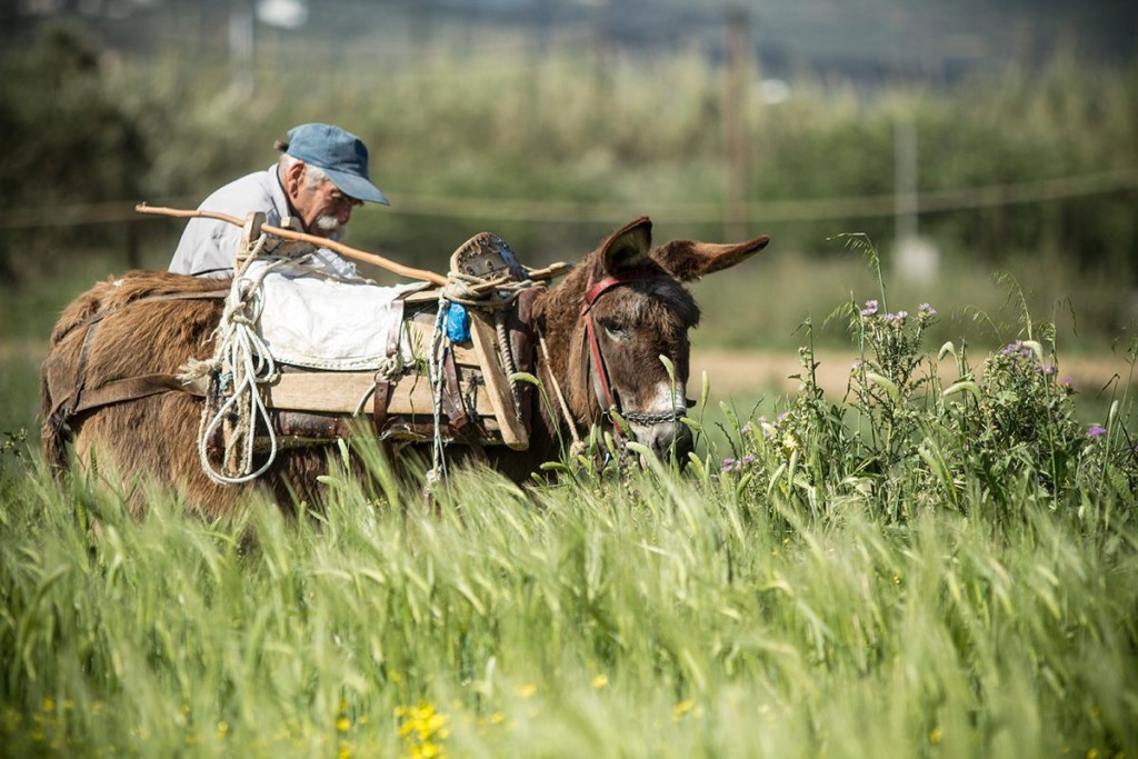 Secreto Kreta (3).jpg